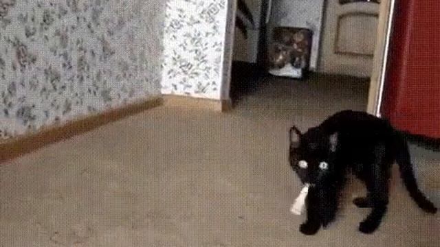 Я на перекур