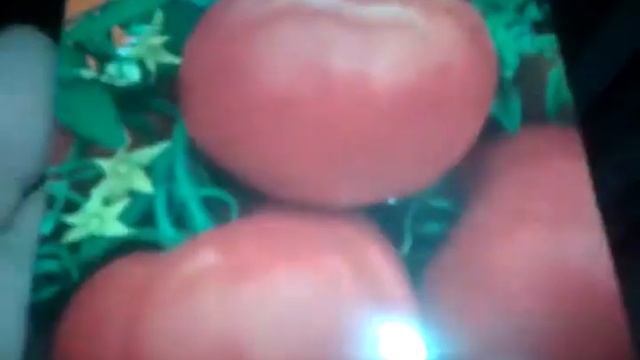 Найкращі види помідор смотреть онлайн