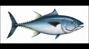 Spotlight 4 Module 6 ex.3 p. 95