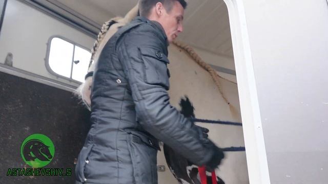 Зефир, его размер и масса. смотреть онлайн