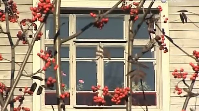 На сохранение культуры выделят значительные средства смотреть онлайн