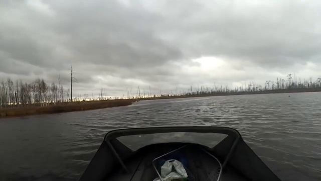 Щука порадовала.Закрытие сезона 2019.1 Часть смотреть онлайн