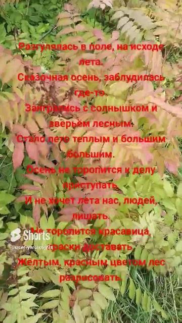 заблудилась осень