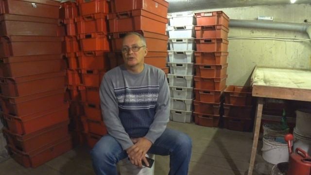 Плотность посадки Дендробены. Экономия времени, субстрата и площадей. смотреть онлайн