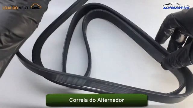 Kit Completo Correia Dentada e Alternador Chery Tiggo/ Cielo - KDA2225 смотреть онлайн