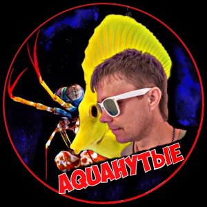 🪸 Морской аквариум🐠 | Отвечаю на ваши вопросы❓