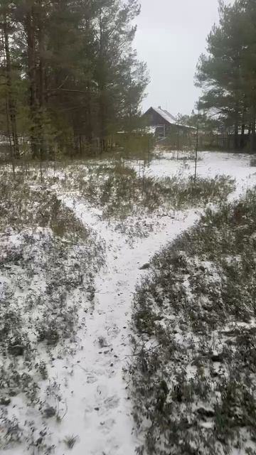 Поселок Шальское