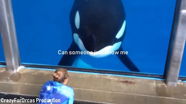 Broken and Beautiful Orca MEP part 3 смотреть онлайн