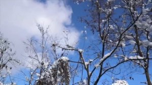 Если свое Спасение ставишь выше спасения других...