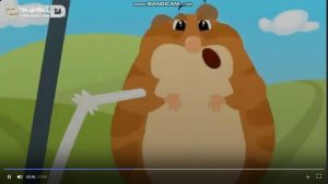 Is there, Are there any