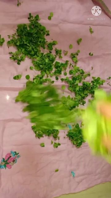 मेथी पूरे साल कैसे स्टोर करे #मेथी #methi #shorts #youtubeshorts смотреть онлайн