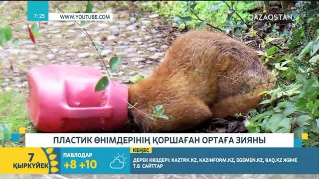Пластик өнімдерінің қоршаған ортаға зияны смотреть онлайн