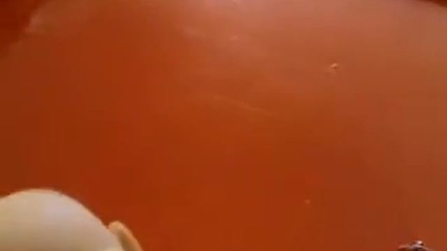 Потомство чаки смотреть онлайн