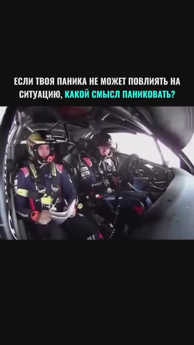 Эталон невозмутимости!!! #shorts #shortvideo смотреть онлайн