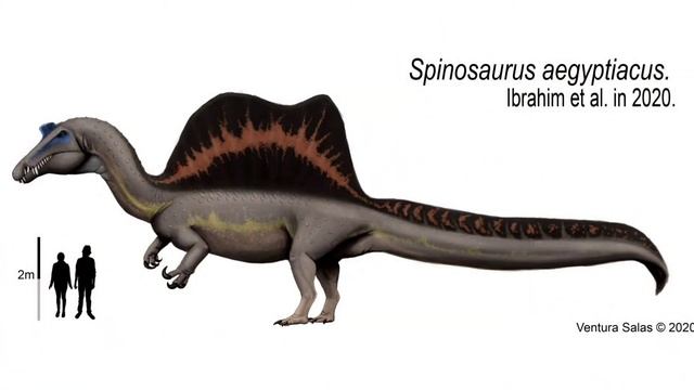 Spinosaurus , Que fué??, Que era??, BIBLIOTECASAURUS. смотреть онлайн