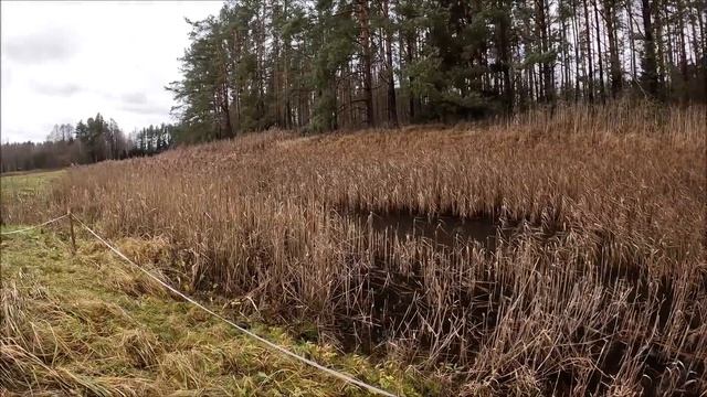 Зима пришла, а недоделки остались.) Жизнь на Лесном Хуторе. смотреть онлайн
