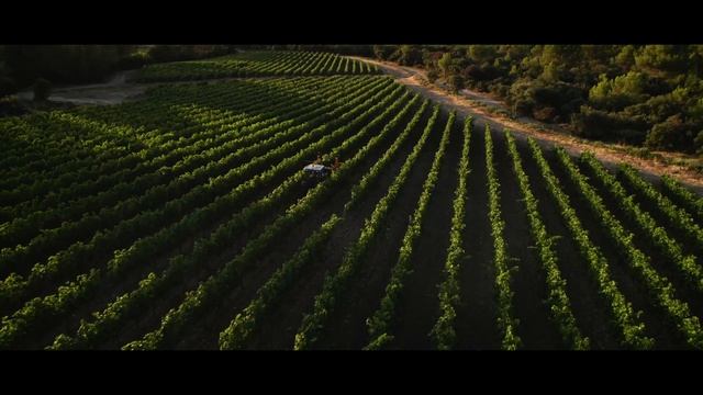 Château de Tholomies - La Livinière - Publicité pour la Chine смотреть онлайн