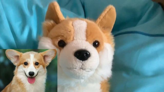 Я ВЛЮБИЛСЯ В КОРГИ ДЕВОЧКУ!? КАААПЕЕЕЦЦ! У НАС БУДУТ ЩЕНКИ!? КОРГИ РОККИ ГОВОРЯЩАЯ СОБАКА