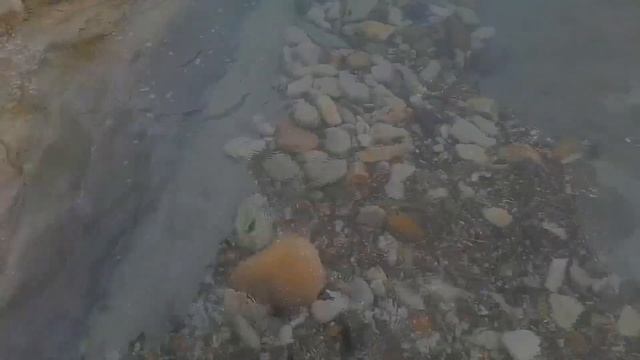 за что я люблю жизнь смотреть онлайн