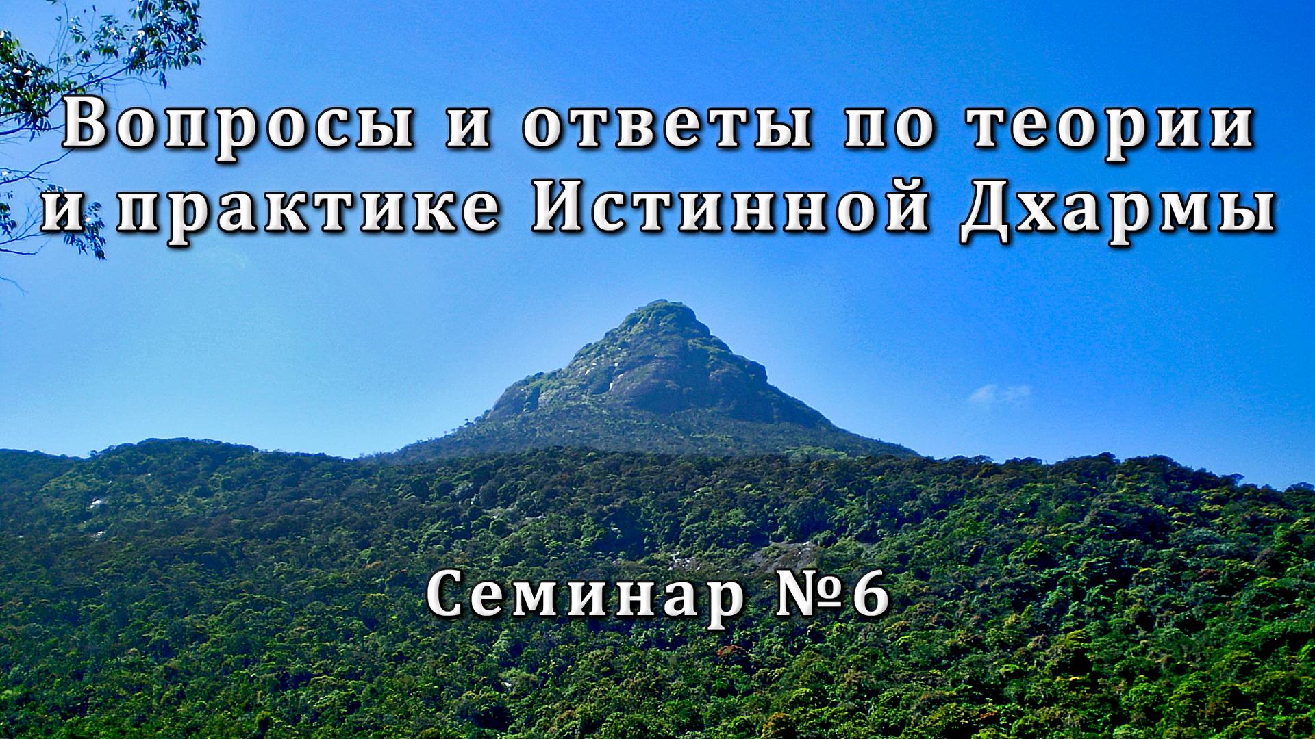Вопросы и ответы по теории и практике Истинной Дхармы. Семинар №6 смотреть онлайн