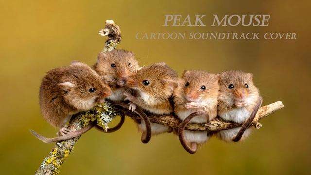 Peak Mouse Cartoon Soundtrack cover смотреть онлайн