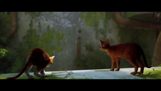 Stray. Прохождение #1