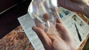 Живой корм для рыбок. Трубочник Изя с быстрой доставкой. Где купить трубочника по выгодной цене?