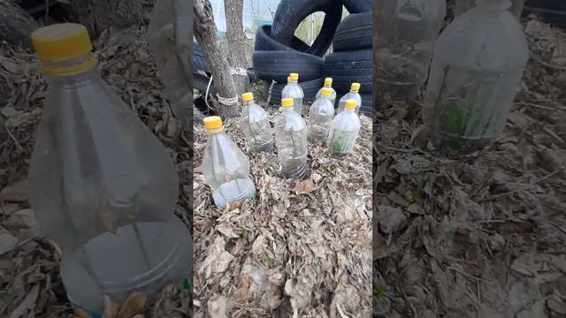 Обзор нашей усадьбы смотреть онлайн