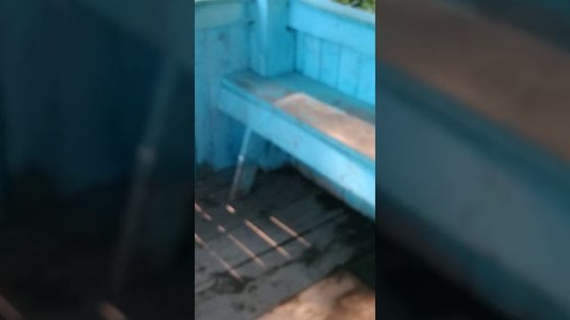 Сероводородный источник за деревней Кардюково смотреть онлайн