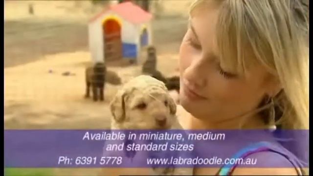 Tasmanian Leisure and Pleasure - Hill Street Express смотреть онлайн