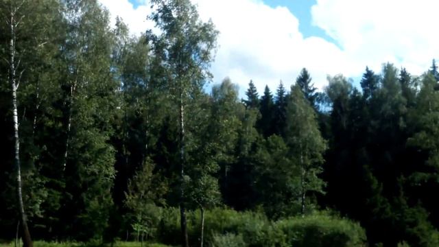 Таксист чурка смотреть онлайн