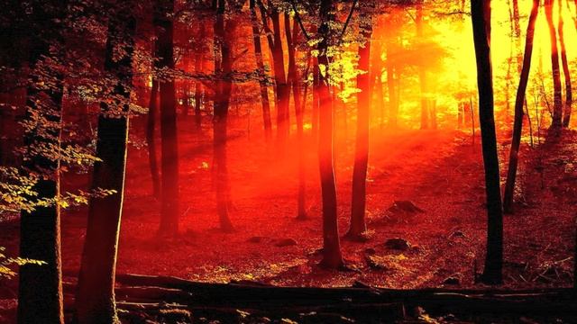 Coming Home (Skylar Grey cover) смотреть онлайн