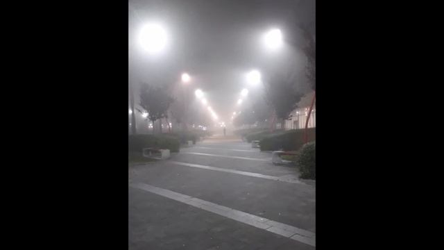 Не беги от Меня, сын Мой 04.08.2019 смотреть онлайн