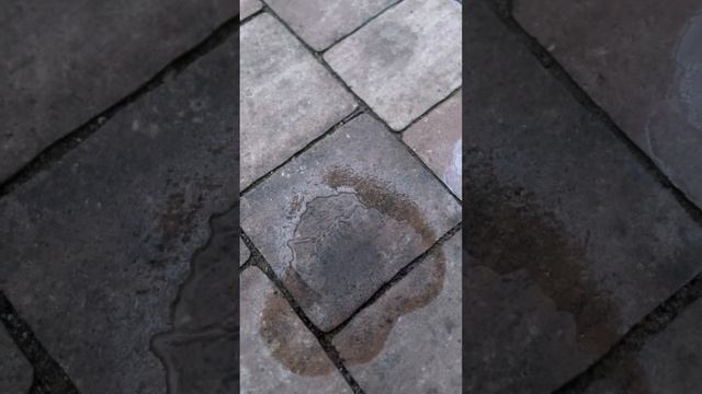 Oil ex spray , jak usunąć plamy po oleju , ropie czym usunąć plamy oleju смотреть онлайн