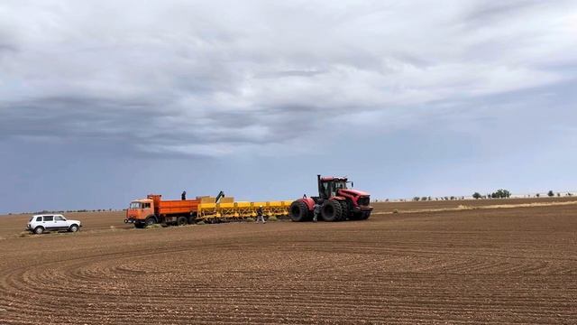 Калмыкия. Озимая пшеница 2025. смотреть онлайн