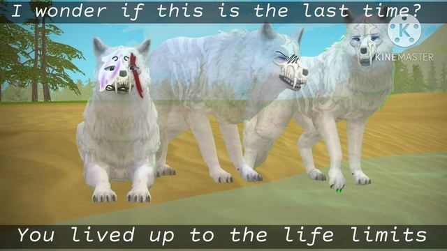 || Lord, give me one more chance!! || Ft. Ash & Her ancestors || смотреть онлайн