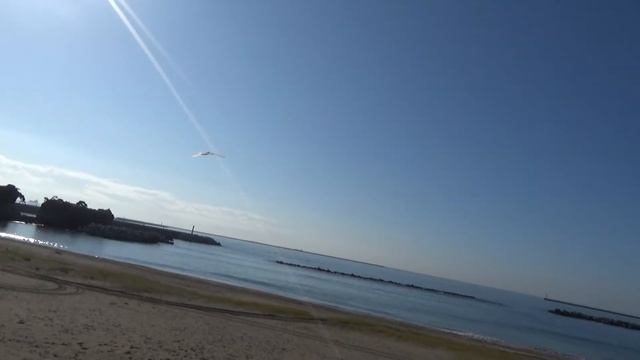 サーボ駆動羽ばたき機 風と遊ぶ　SFO87 with Body 15th Flight Test at Seaside in Wind Play with Wind смотреть онлайн