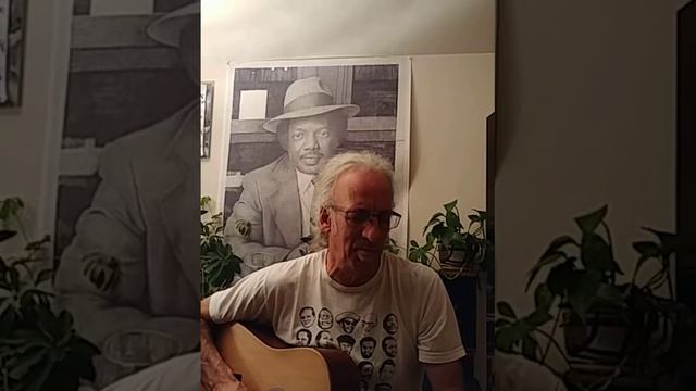 What I Would Like To Be by Brownie McGhee смотреть онлайн