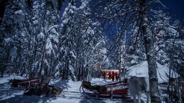 Hunting for Aurora Borealis in Lapland | Northern Lights in Finland смотреть онлайн