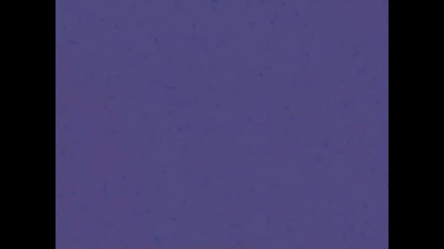 luntik crying csupo in il vocodex effects смотреть онлайн