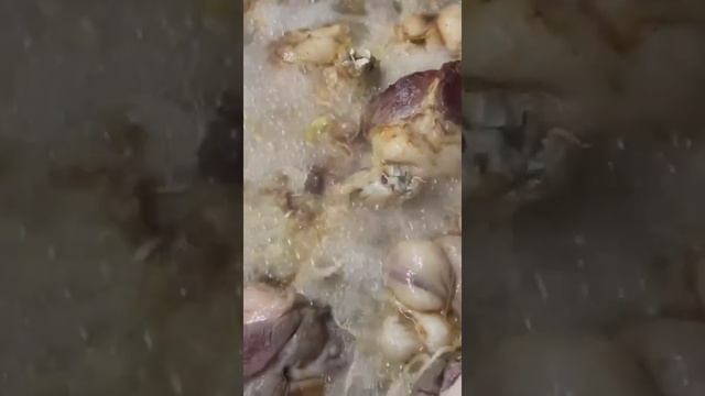 УЗБЕКСКИХ НАЦИОНАЛЬНЫИ́ СВАДЕБНЫХ ПЛОВ,UZBEK NATIONAL WEDDING FLOATS, смотреть онлайн