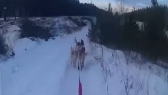 Первая тренирока в сезоне 2019 2020 смотреть онлайн