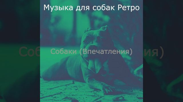 Звуки (Дрессировка собак) смотреть онлайн