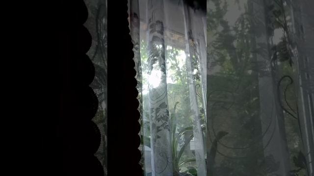 странные отношения смотреть онлайн