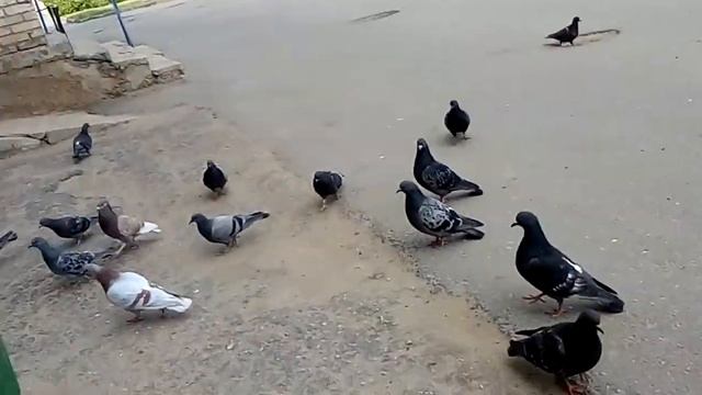 Гуля смотреть онлайн