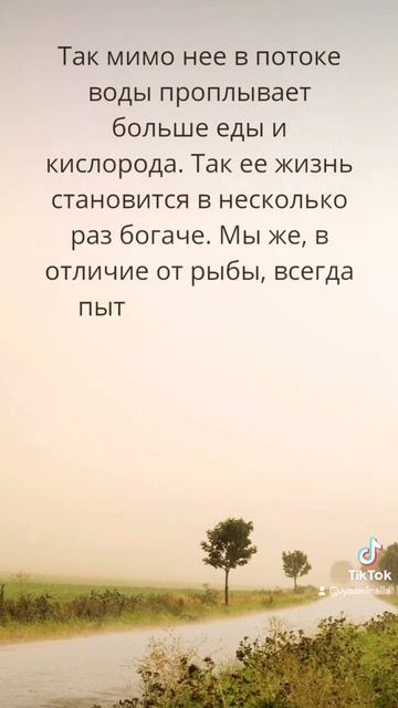 Кто же нам преподнесет второй урок? А вот Рыбы. смотреть онлайн
