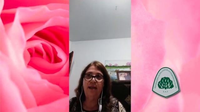 SAF ORA ON-LINE NA MADRUGA смотреть онлайн