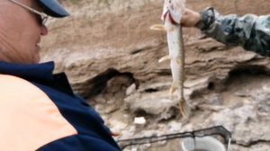 РЫБАЛКА НА ВЯТКЕ. СТЕРЛЯДЬ, СУДАК, ЩУКА.