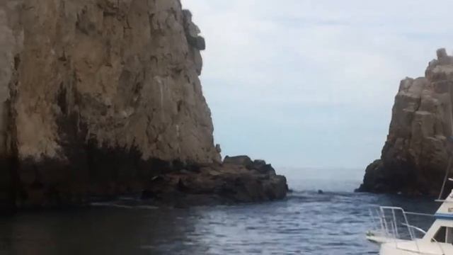 Cabo Sea Lion colony at El Archo смотреть онлайн