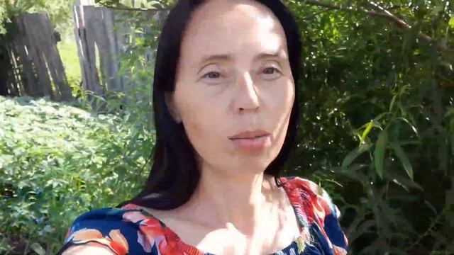 259/Чищу дымоход,Готовимся к отопительному сезону/Китайская стена смотреть онлайн